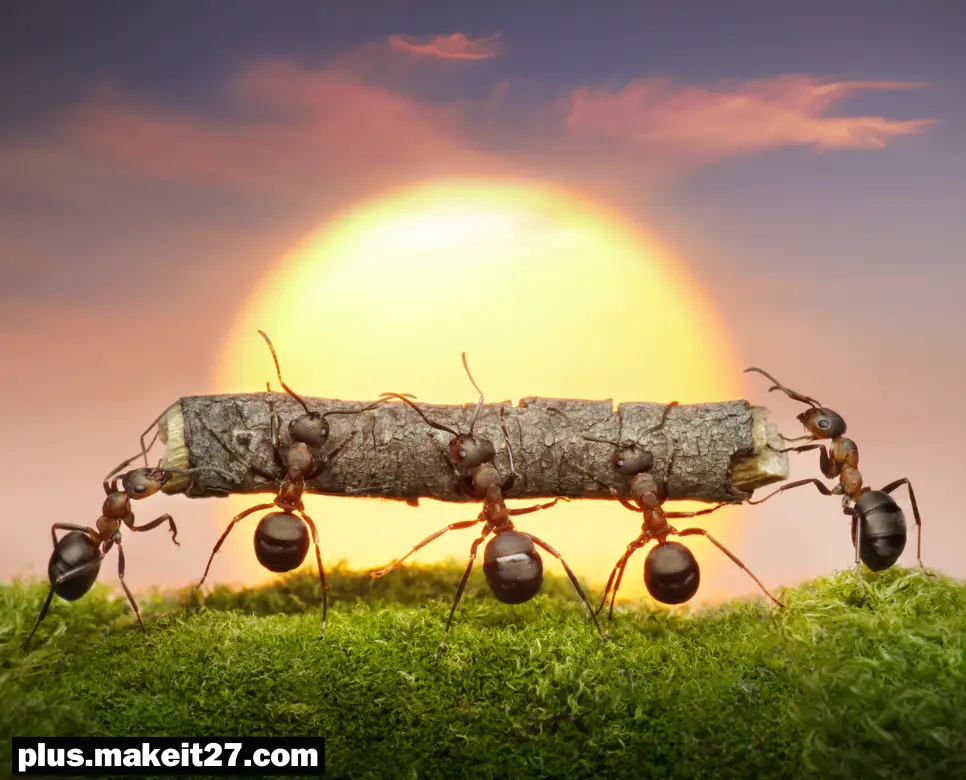 Ant 뜻, Arm 뜻, Art 뜻: 자연과 인간, 그리고 문화의 연결고리