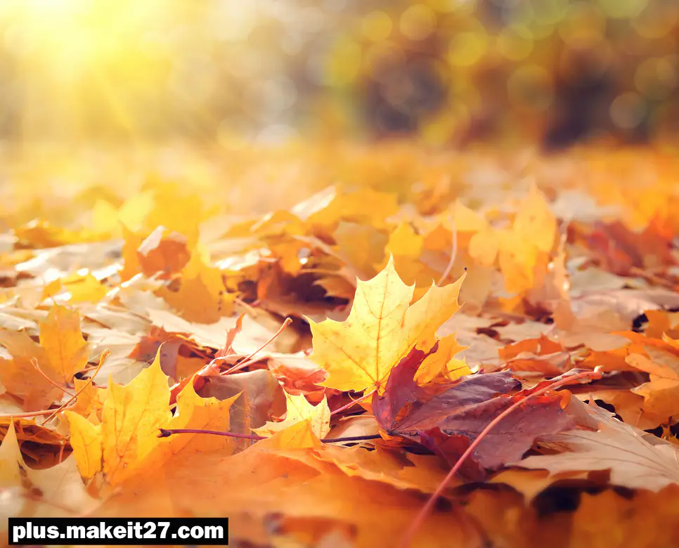 Autumn 뜻, Awesome 뜻, Awful 뜻: 궁금증 싹 해결!