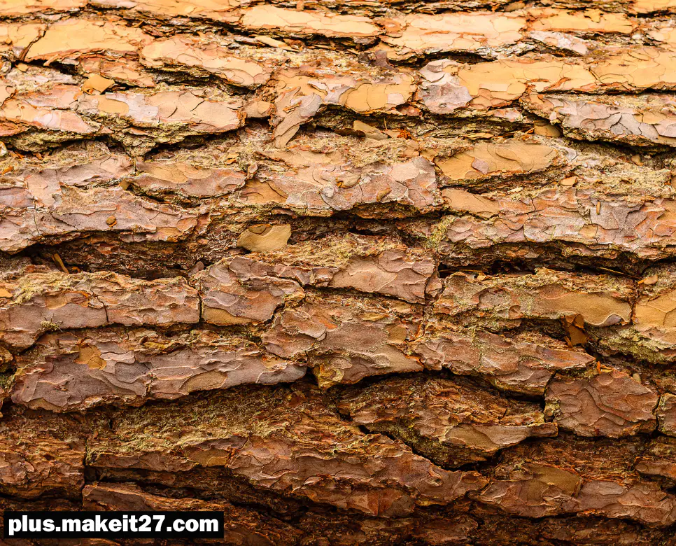 Bark 뜻, Barrel 뜻, Batch 뜻: 한눈에 쏙! 4 Bark