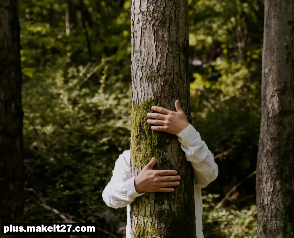 Behind 뜻, Believe 뜻, Best 뜻: 뒤에 숨겨진 것, 믿음, 그리고 정점