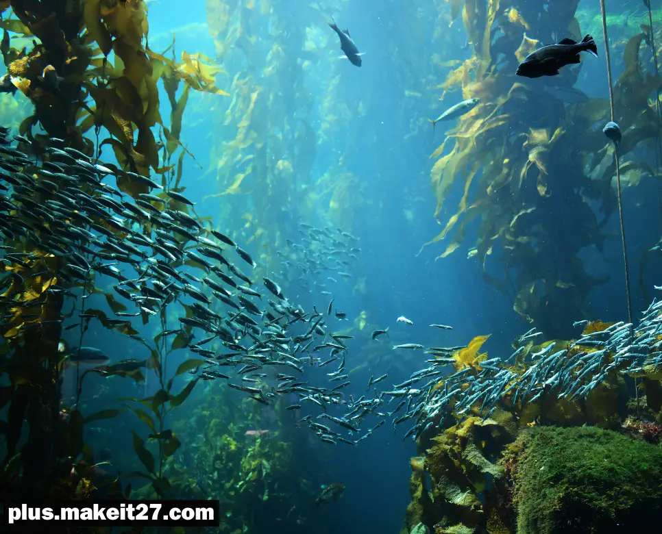 Below 뜻, Benefit 뜻, Belief 뜻: 깊이, 이익, 그리고 신념의 의미 4 Below