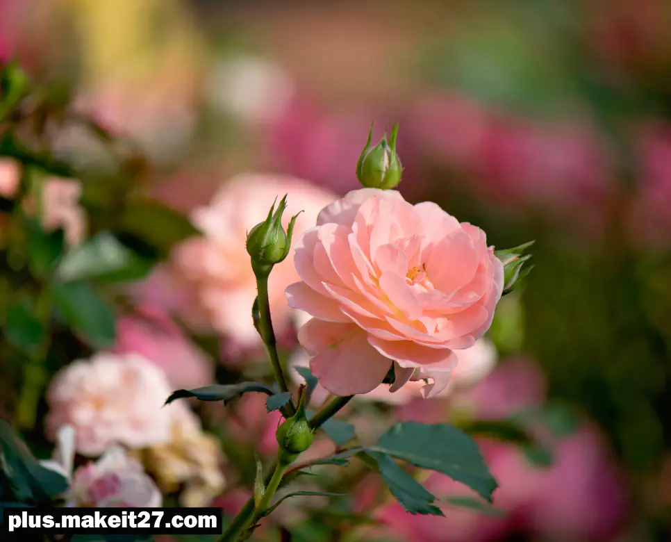 Bloom 뜻, Bold 뜻, Blue 뜻: 피어나는 순간, 대담한 선택, 그리고 깊은 색채