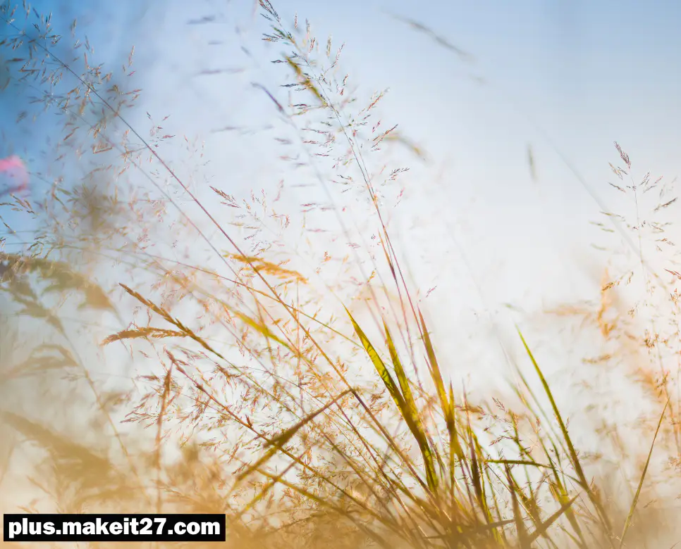 Brave 뜻, Break 뜻, Breeze 뜻: 정리해드립니다! 3 Breeze