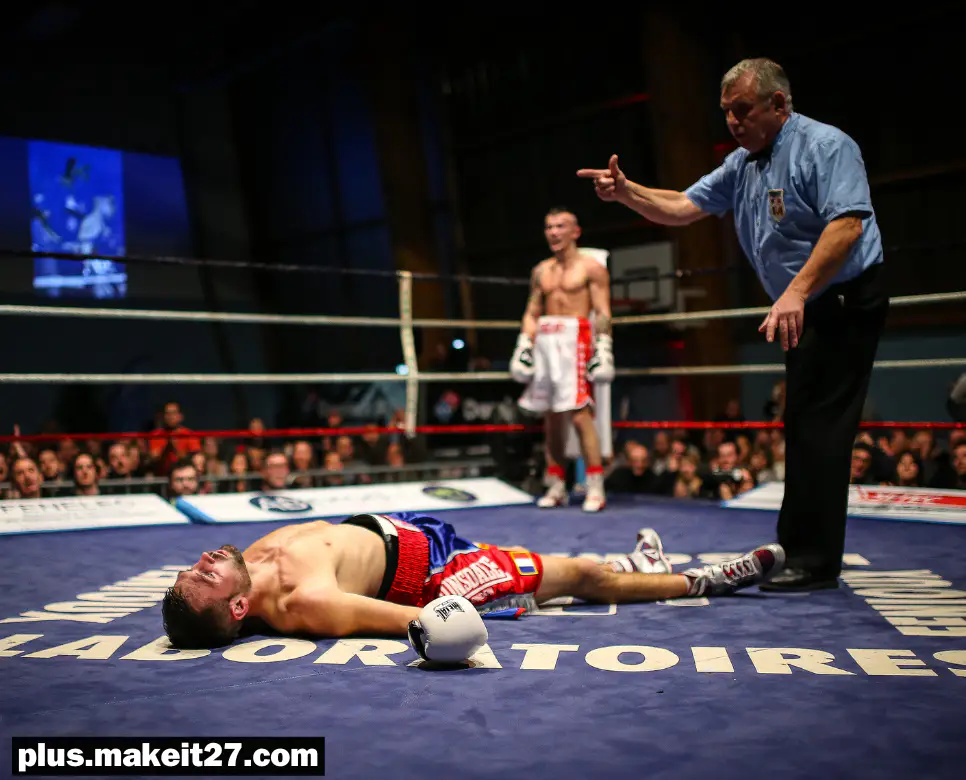 OP 뜻, TKO 뜻, KO 뜻: 게임과 격투 스포츠에서 자주 쓰이는 약어 3 KO