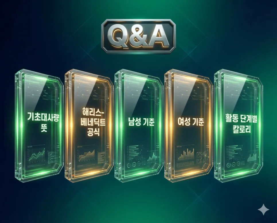 기초대사량 계산기: 남자 여자 성별 맞춤형 기초대사량 및 칼로리 소모량 4 비활동적·보통 활동·활동적 등 활동 수준별 칼로리 소모 기준과 기초대사량 개념을 설명하는 선명한 인포그래픽 FAQ