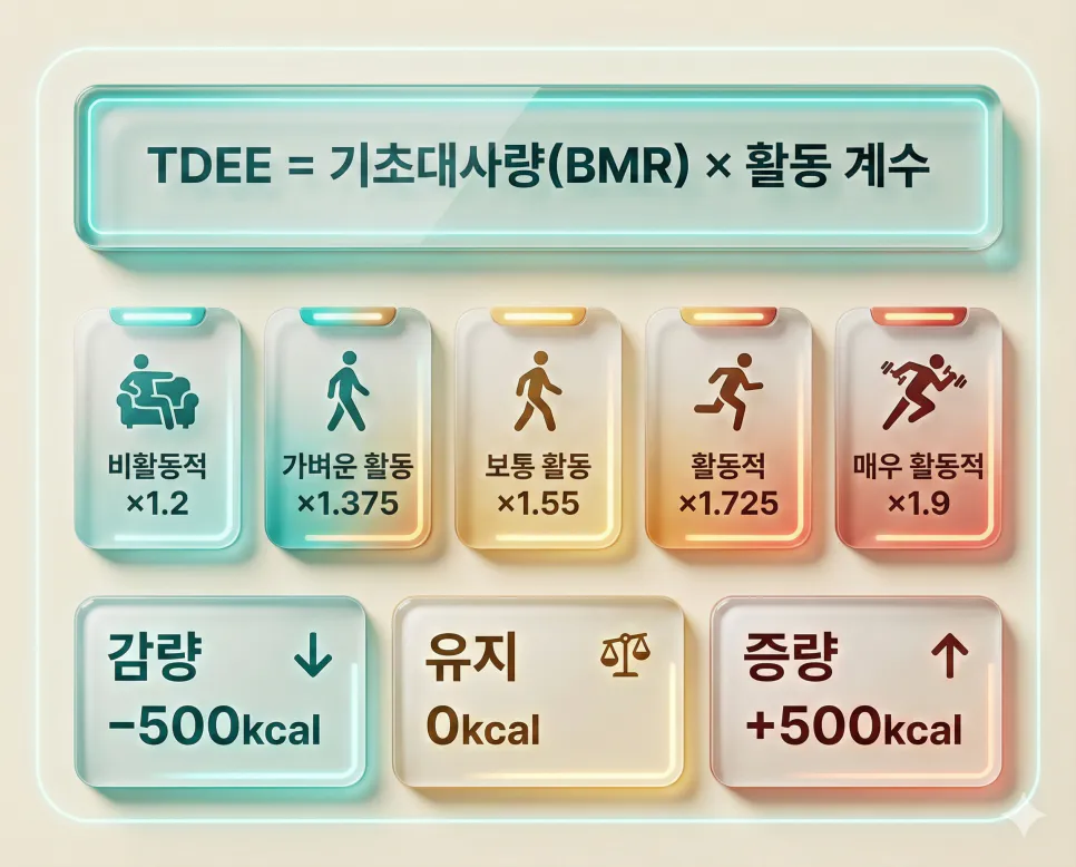 활동 대사량 계산기: 하루 소모 칼로리 및 체지방률 기반 감량 수치 측정 2 활동 수준별 TDEE 계산 배수와 감량·유지·증량 목표별 권장 칼로리를 보여주는 데이터 대시보드
