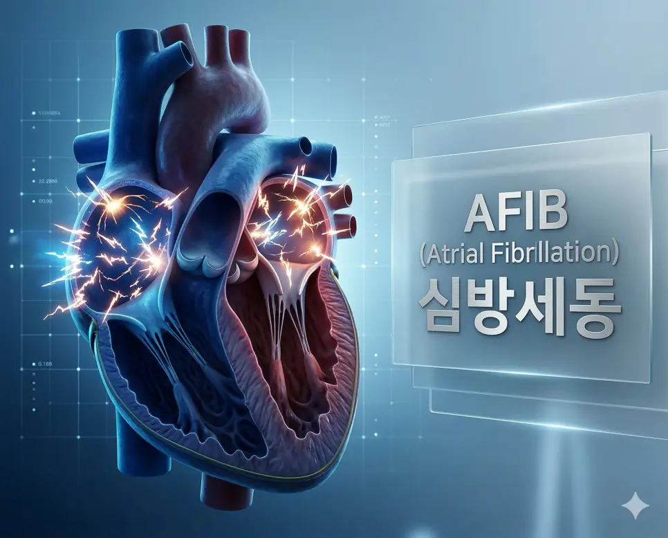 의학용어 A-Fib, AFB, AFIB 3 의학용어 AFIB(심방세동)의 뜻과 심장의 전기적 신호를 상세히 표현한 전문적인 해부학 시각화 이미지