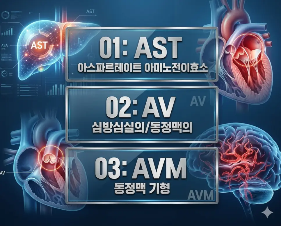 의학용어 AST, AV, AVM 4 의학용어 AST, AV, AVM의 핵심 정의와 시각적 특징을 한눈에 정리한 세련된 포스터 스타일의 인포그래픽
