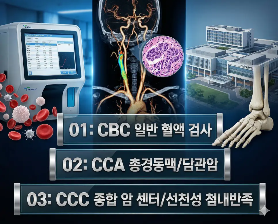의학용어 CBC, CCA, CCC 완벽 가이드 4 의학용어 CBC, CCA, CCC의 정의와 핵심 임상 정보를 세련된 포스터 스타일로 정리한 프리미엄 의료 인포그래픽