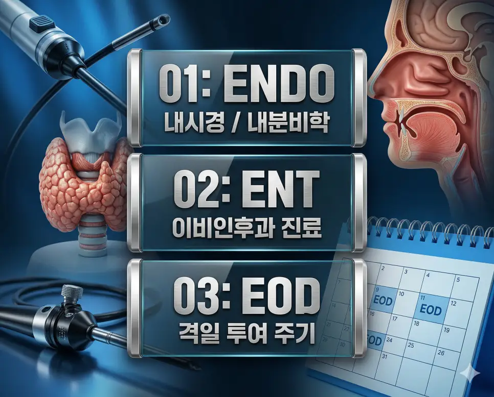 의학용어 ENDO, ENT, EOD 완벽 가이드 4 의학용어 ENDO, ENT, EOD의 정의와 내시경/내분비, 이비인후과 해부도, 격일 복용 주기의 특징을 영화 포스터 스타일로 정리한 프리미엄 인포그래픽