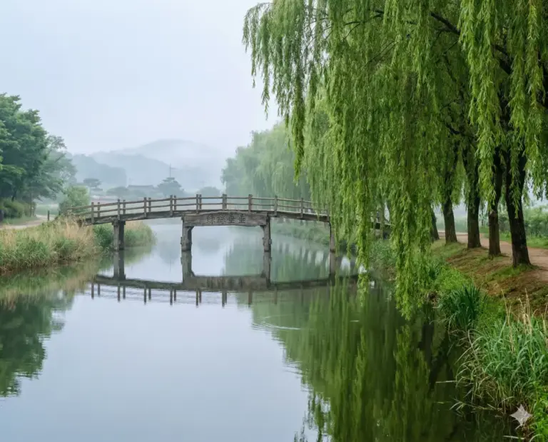 noksa susu willow silk river