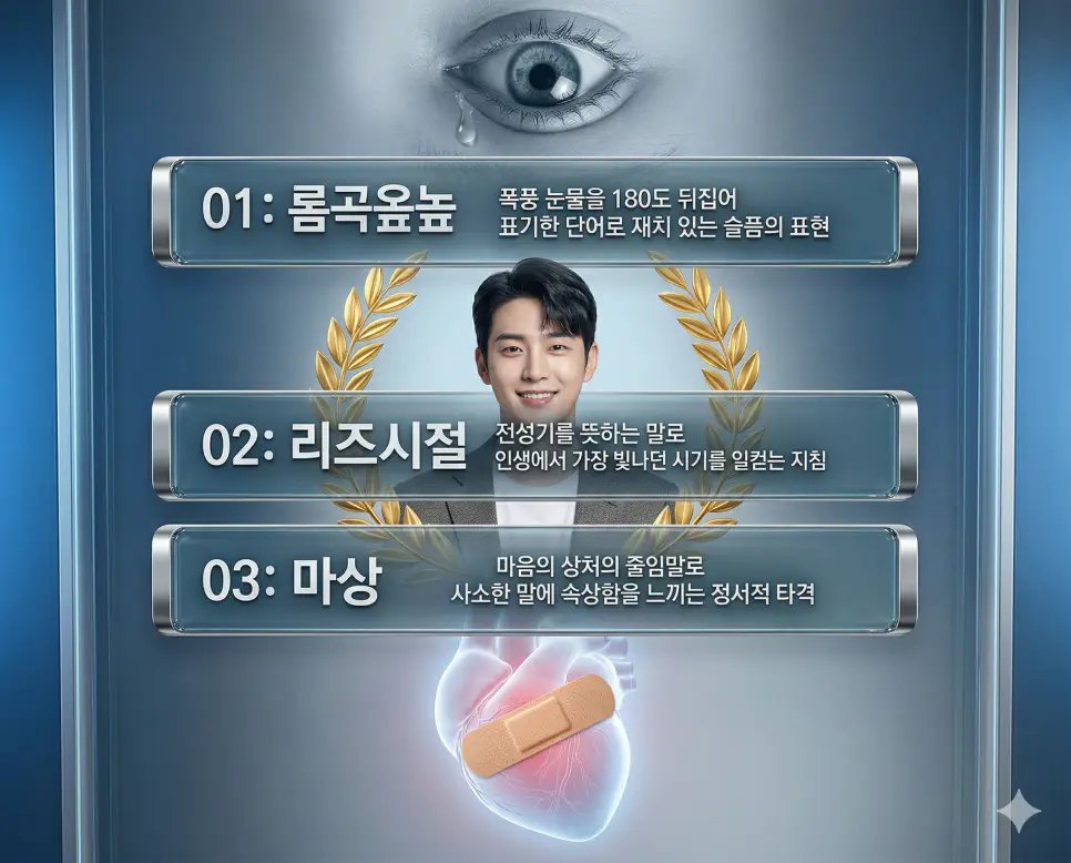 롬곡옾높, 리즈시절, 마상 뜻의 정의와 재치 있는 슬픔 표현, 인생의 황금기 시절, 정서적 타격 상태의 핵심 내용을 정리한 영화 포스터 스타일 인포그래픽