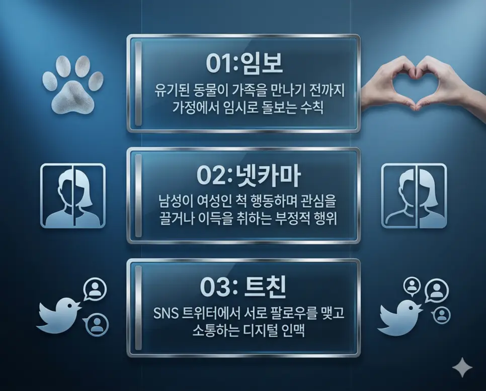 임보 뜻, 넷카마 뜻, 트친 뜻: 보호와 기만 그리고 인맥 완벽 정리 4 신조어 임보, 넷카마, 트친 뜻의 정의와 생명 임시 보호, 성별 기만 행위, 디지털 인맥의 핵심 내용을 사실적인 사진 스타일로 정리한 인포그래픽