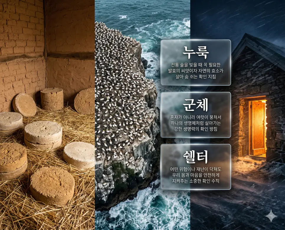 누룩 뜻, 군체 뜻, 쉘터 뜻 정리: 전통 발효제와 생물 공동체 및 보호 공간 확인 4 누룩, 군체, 쉘터 키워드 정의와 각각의 발효 과정 및 생명 공동체 상황을 사실적인 배경 위에 유리 패널로 정리한 고품격 실사 인포그래픽