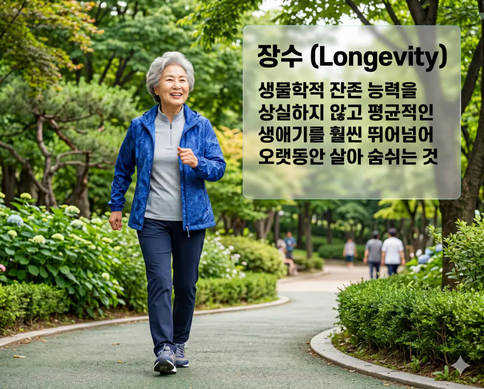 장수(Longevity)의 활기찬 생명력을 즉각적으로 인지할 수 있도록, 푸른 숲이 우거진 공원 산책로에서 밝고 에너지가 넘치는 웃음을 지으며 씩씩하게 걸어가는 한국인 할머니의 역동적인 모습을 촬영한 고해상도 실사 이미지입니다. 평균적인 생애 주기를 넘어 건강한 신체 능력을 유지하며 오랫동안 살아가는 기쁨을 인물의 생기 있는 표정과 싱그러운 야외 배경을 통해 직관적으로 시각화했습니다.