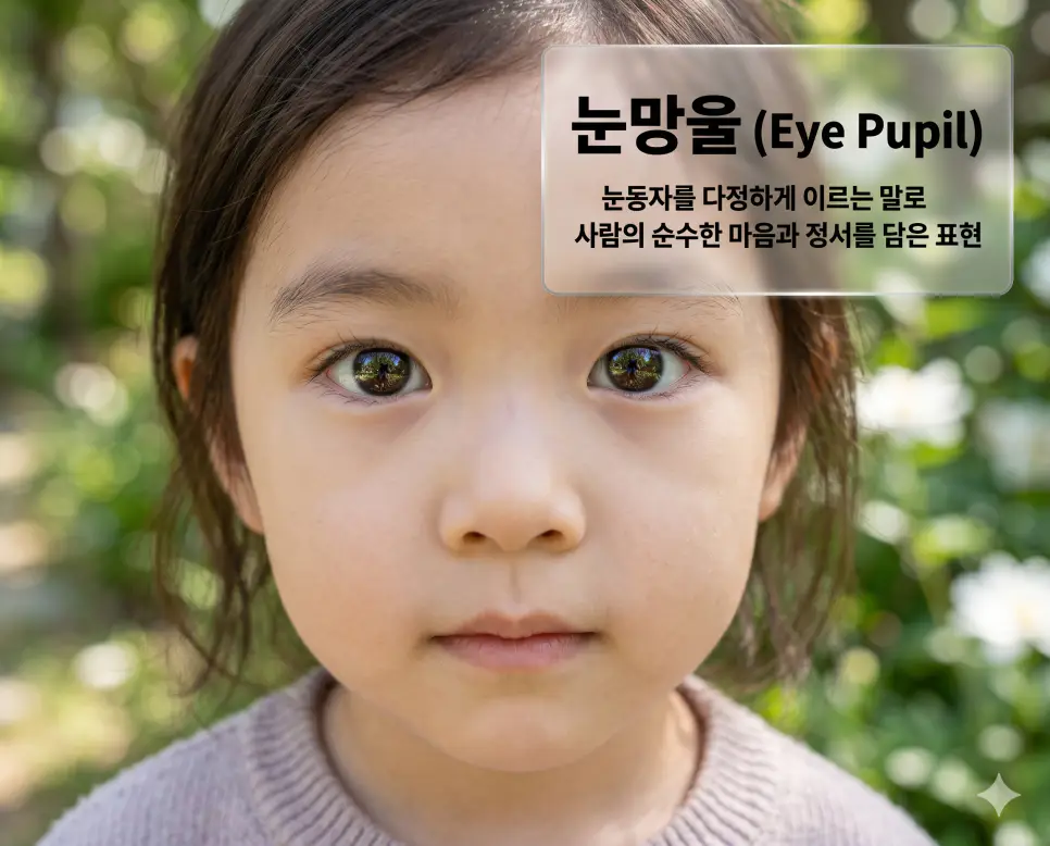 노을 뜻, 누리 뜻, 눈망울 뜻: 자연의 경이로움과 순수한 정서를 담은 우리말 정리 3 눈망울(Eye Pupil/Gaze)의 순수한 정서를 상세히 전달하기 위해 맑고 투명한 눈동자에 자연의 빛이 반사되는 한국인 아이의 얼굴을 클로즈업한 자료입니다. 사람의 진심과 무구한 마음을 가장 잘 드러내는 서정적인 표현을 상징적으로 구현하였습니다.