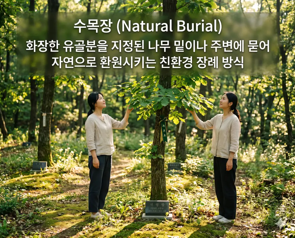 수목장(Natural Burial)의 친환경적인 의미를 완벽하게 직관적으로 전달하기 위해, 싱그러운 초록빛이 가득한 햇살 좋은 추모 수목림 안에서 한 젊은 한국인 여성이 작은 추모 리본이 달린 지정된 나무 곁에 서서 잎사귀를 부드럽게 매만지며 평온하고 희망찬 표정으로 고인을 자연으로 돌려보내는 장면을 촬영한 고해상도 실사 이미지입니다. 유골을 나무 주변에 묻어 자연의 일부로 환원시키는 장례 방식의 아름다움을 인물의 표정과 숲의 생명력을 통해 1초 만에 인지할 수 있도록 생생하게 구현했습니다.