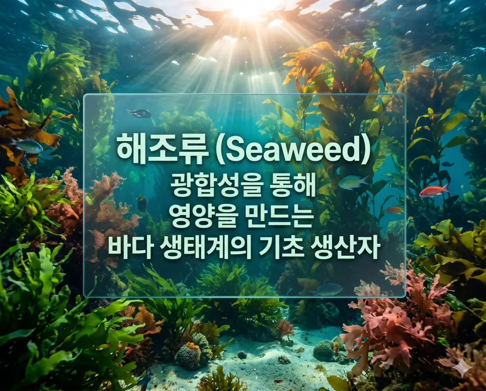 포유류 뜻, 해조류 뜻, 파충류 뜻: 생태계를 구성하는 주요 생물군 완벽 정리 2 해조류 뜻을 시각화하기 위해 바닷속에서 광합성을 하며 서식하는 녹조류와 갈조류 및 홍조류의 생태적 모습을 담은 이미지