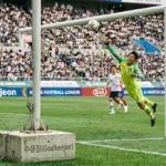 official stadium goalkeeper diving save